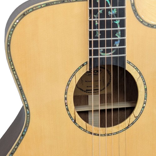 גיטרה אקוסטית עם קייס גיטרה אקוסטית עם קייס