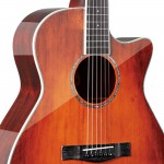 Solid Top Acoustic Guitar