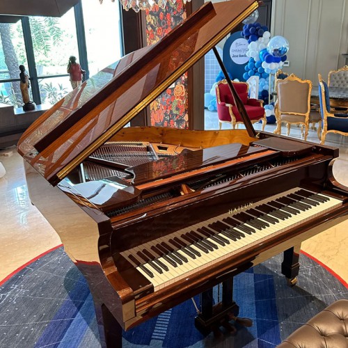 פסנתר כנף חדש 150 ס"מ