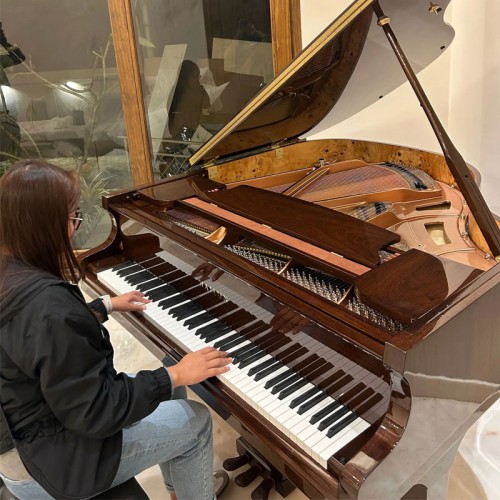 פסנתר כנף חדש 150 ס"מ