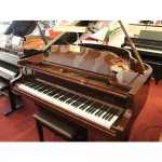 פסנתר כנף חדש 150 ס"מ