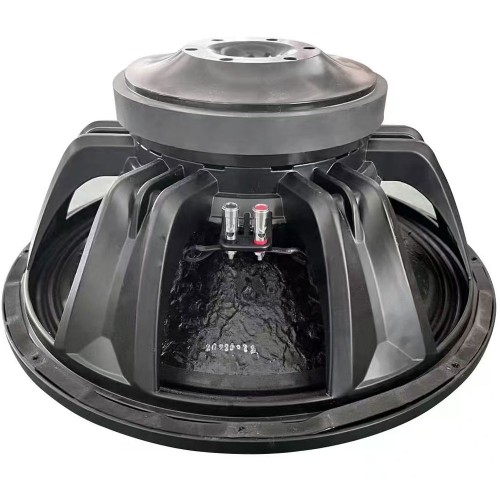 2400Watt SubWoofer 18"x2