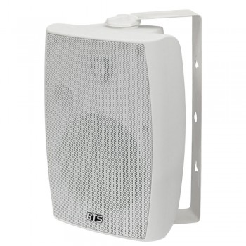 רמקול 5" ,שנאי קו