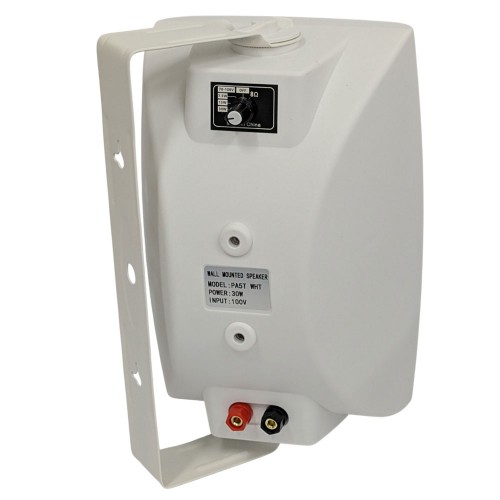 רמקול 5" ,שנאי קו