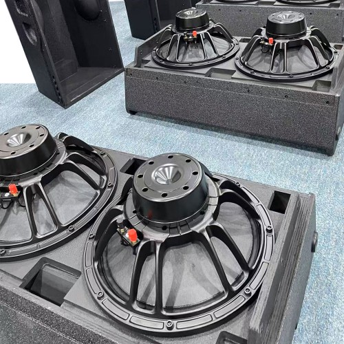Double 12" 1200W RMS