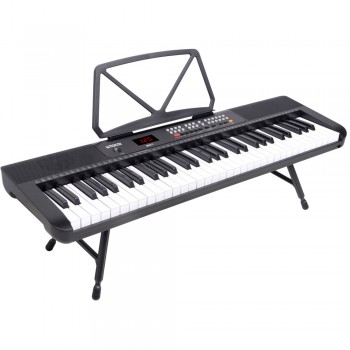 אורגן 5 אוקטבות אורגן 5 אוקטבות