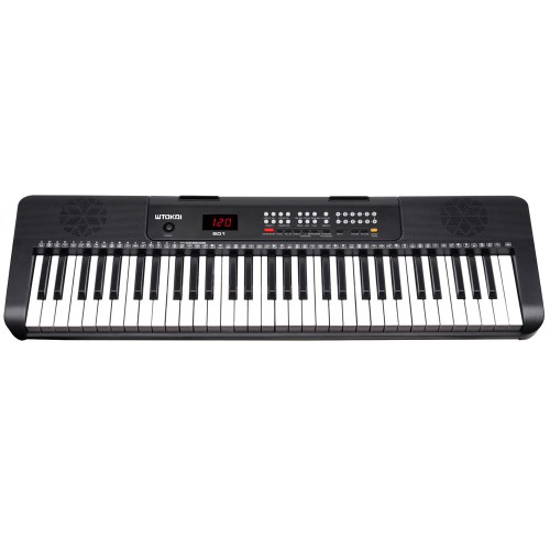 אורגן 5 אוקטבות