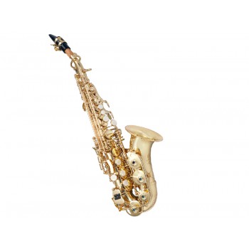 סקסופון סופרנו עם קייס קשיח