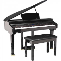 פסנתר כנף חשמלי