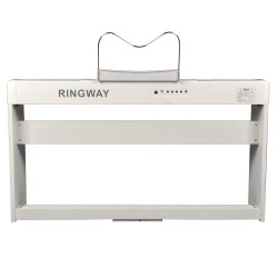 פסנתר חשמלי עם סטנד מתצוגה