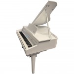 פסנתר כנף חשמלי פסנתר כנף חשמלי