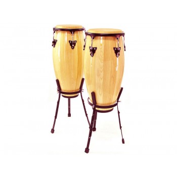 זוג קונגס עם סטנד