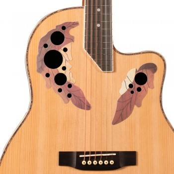 Ovation Style Guitar Ovation Style Guitar