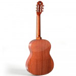 Spruce Top Guitar