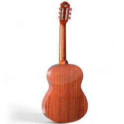 Spruce Top Guitar Spruce Top Guitar