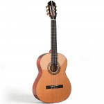 Spruce Top Guitar