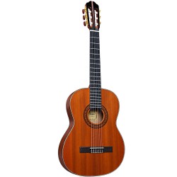 Spruce Top Guitar