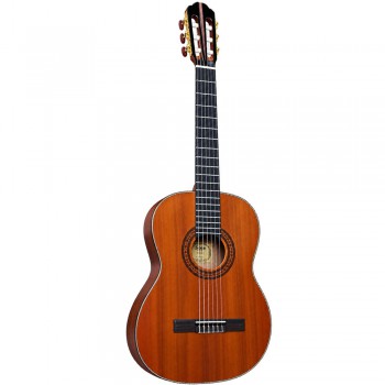 Spruce Top Guitar