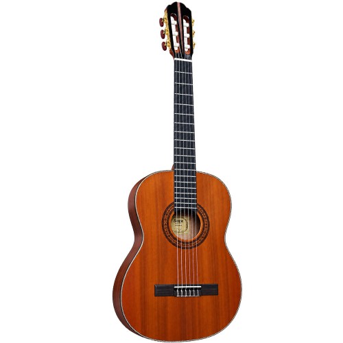 Spruce Top Guitar
