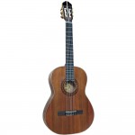 Spruce Top Guitar