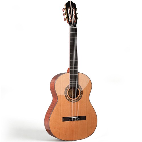 Spruce Top Guitar