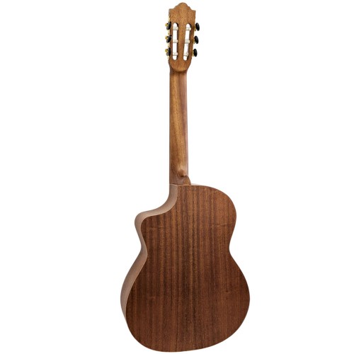 Spruce Top Guitar