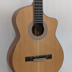 Spruce Top Guitar