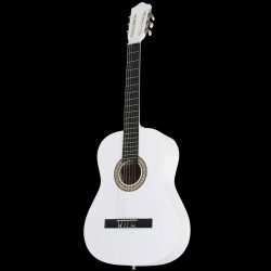 גיטרה קלאסית עם תיק