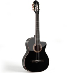 Spruce Top Guitar