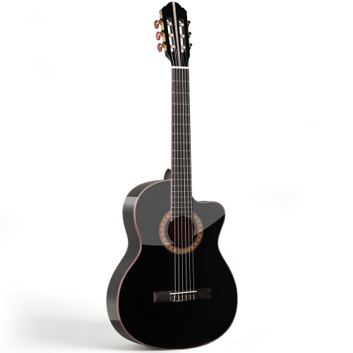 Spruce Top Guitar
