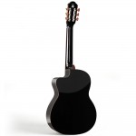Spruce Top Guitar