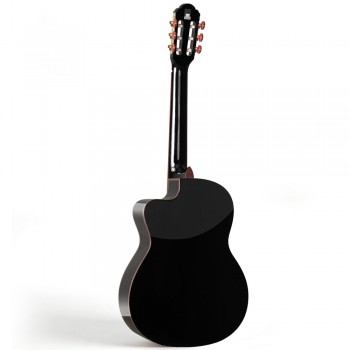 Spruce Top Guitar