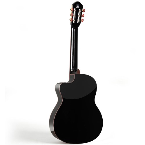Spruce Top Guitar