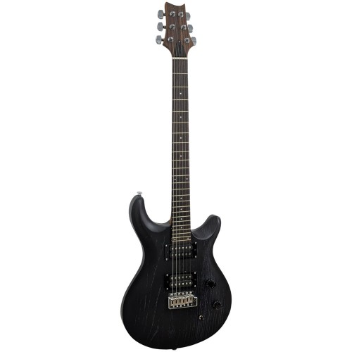 Pro Electric Guyitar