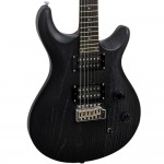 Pro Electric Guyitar