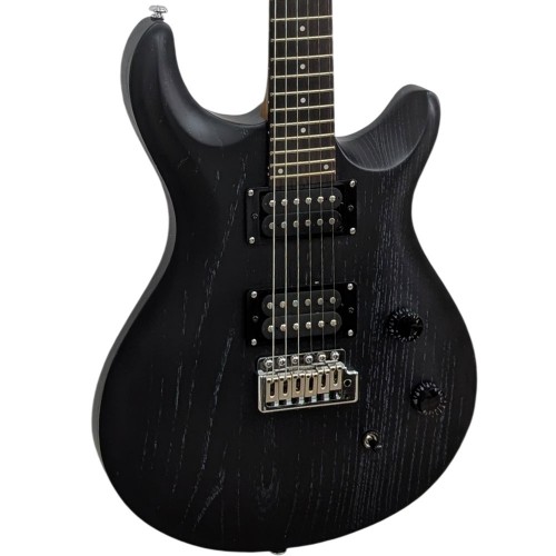 Pro Electric Guyitar