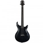 Pro Electric Guitar