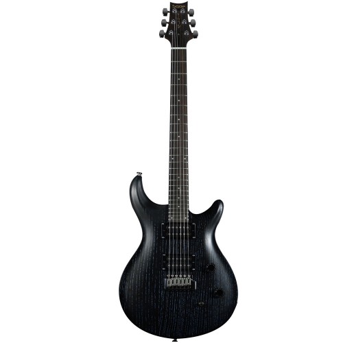 Pro Electric Guitar