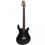 Pro Electric Guitar