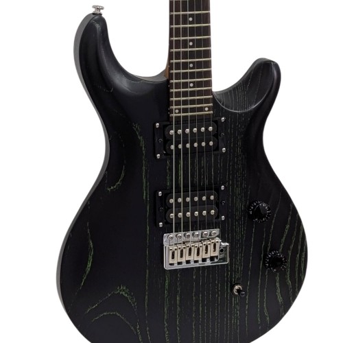 Pro Electric Guitar