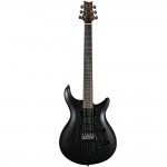 Pro Electric Guitar