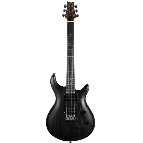 Pro Electric Guitar