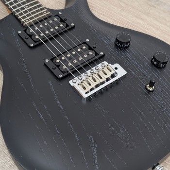 Pro Electric Guyitar