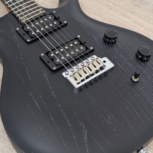 Pro Electric Guyitar