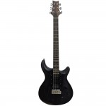 Pro Electric Guyitar