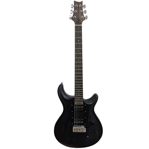 Pro Electric Guyitar