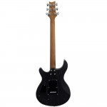 Pro Electric Guyitar