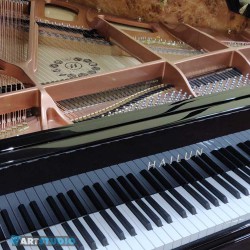 פסנתר כנף חדש 161 ס"מ פסנתר כנף חדש 161 ס"מ