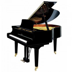 פסנתר כנף 154 ס''מ