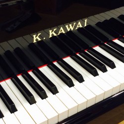 פסנתר כנף 173 ס''מ